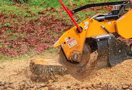 Grass Overseeding in White Oak, PA